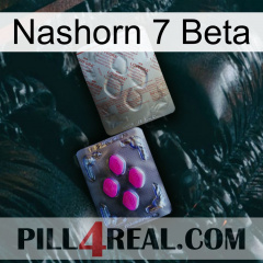 Rhino 7 Beta 38